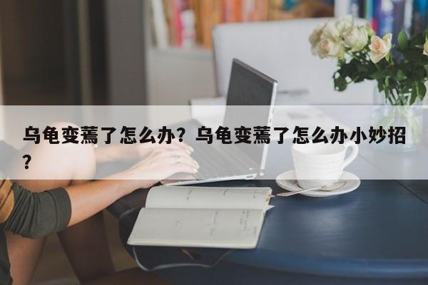 乌龟变蔫了怎么办？乌龟变蔫了怎么办小妙招？-第1张图片-我家生活百科