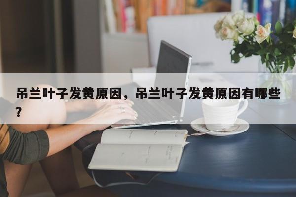 吊兰叶子发黄原因,吊兰叶子发黄原因有哪些?-第1张图片-我家生活百科 吊兰叶子发黄原因,吊兰叶子发黄原因有哪些?-第1张图片-我家生活百科