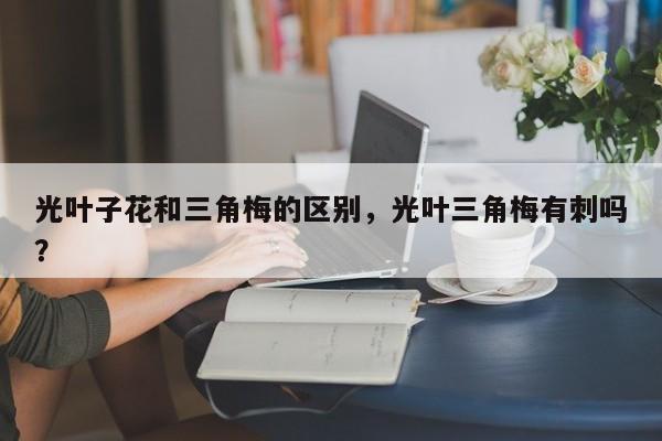 光叶子花和三角梅的区别，光叶三角梅有刺吗？-第1张图片-我家生活百科