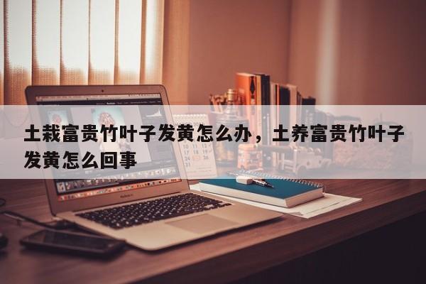土栽富贵竹叶子发黄怎么办，土养富贵竹叶子发黄怎么回事-第1张图片-我家生活百科