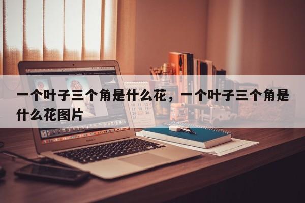 一个叶子三个角是什么花，一个叶子三个角是什么花图片-第1张图片-我家生活百科