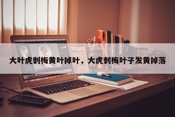 大叶虎刺梅黄叶掉叶，大虎刺梅叶子发黄掉落-第1张图片-我家生活百科