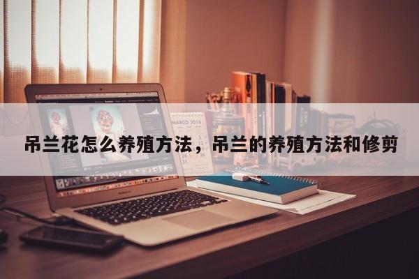 吊兰花怎么养殖方法，吊兰的养殖方法和修剪-第1张图片-我家生活百科