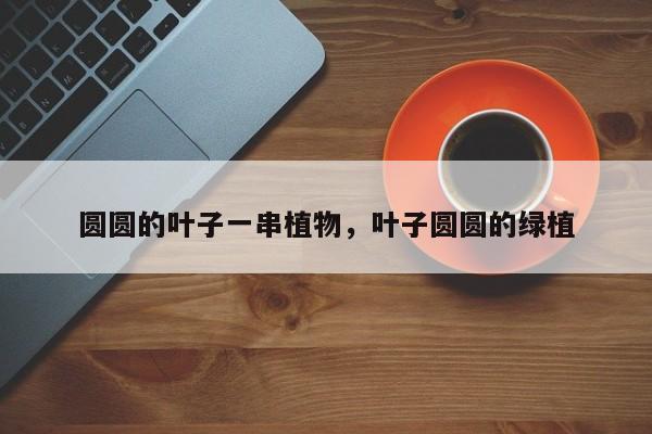 圆圆的叶子一串植物，叶子圆圆的绿植-第1张图片-我家生活百科