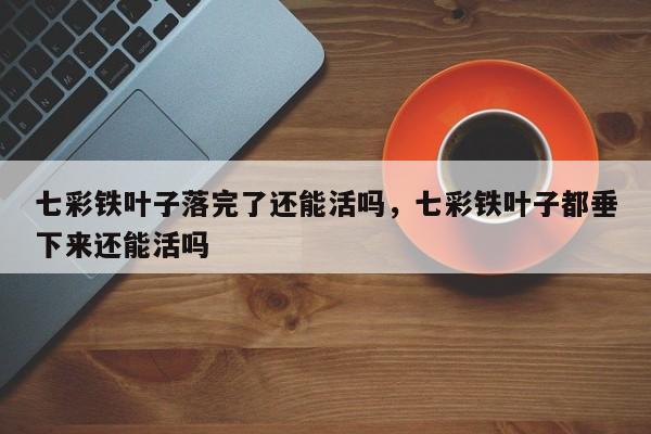 七彩铁叶子落完了还能活吗，七彩铁叶子都垂下来还能活吗-第1张图片-我家生活百科