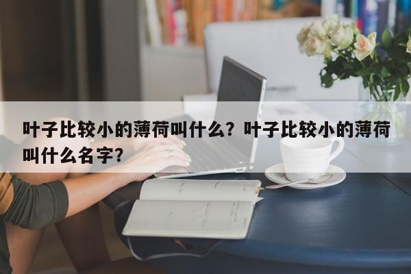 叶子比较小的薄荷叫什么？叶子比较小的薄荷叫什么名字？-第1张图片-我家生活百科