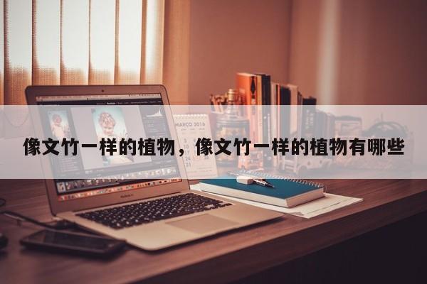 像文竹一样的植物，像文竹一样的植物有哪些-第1张图片-我家生活百科