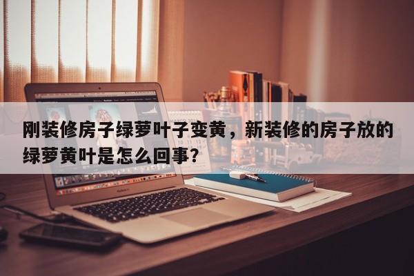 刚装修房子绿萝叶子变黄，新装修的房子放的绿萝黄叶是怎么回事？-第1张图片-我家生活百科