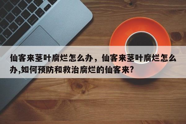 仙客来茎叶腐烂怎么办，仙客来茎叶腐烂怎么办,如何预防和救治腐烂的仙客来?-第1张图片-我家生活百科
