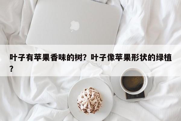 叶子有苹果香味的树？叶子像苹果形状的绿植？-第1张图片-我家生活百科