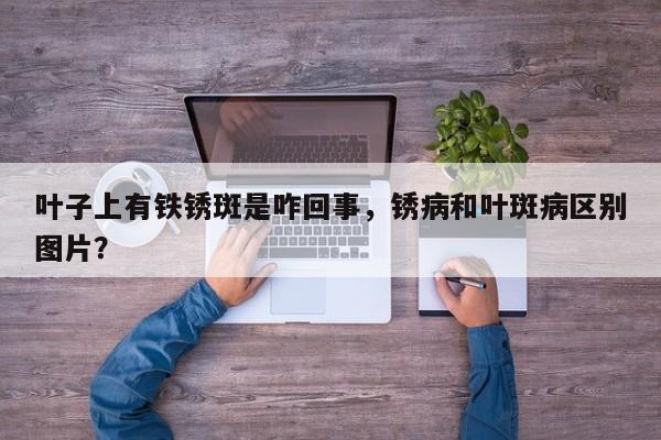 叶子上有铁锈斑是咋回事,锈病和叶斑病区别图片?-第1张图片-我家生活百科 叶子上有铁锈斑是咋回事,锈病和叶斑病区别图片?-第1张图片-我家生活百科