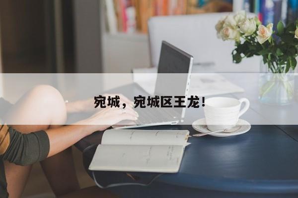 宛城，宛城区王龙！-第1张图片-我家生活百科