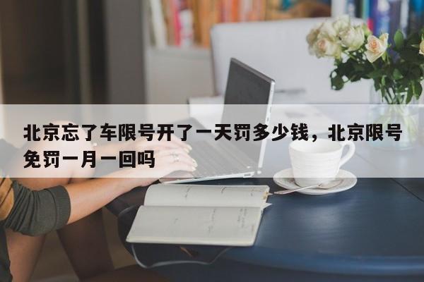 北京忘了车限号开了一天罚多少钱，北京限号免罚一月一回吗-第1张图片-我家生活百科