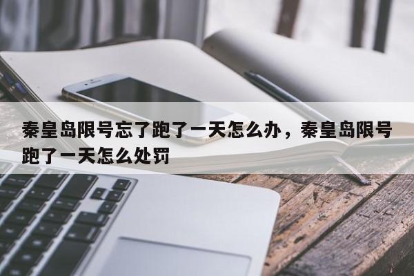 秦皇岛限号忘了跑了一天怎么办，秦皇岛限号跑了一天怎么处罚-第1张图片-我家生活百科